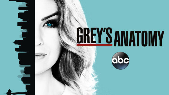 مسلسل Grey’s Anatomy الموسم 13 الحلقة 24 مترجمة كاملة والاخيرة