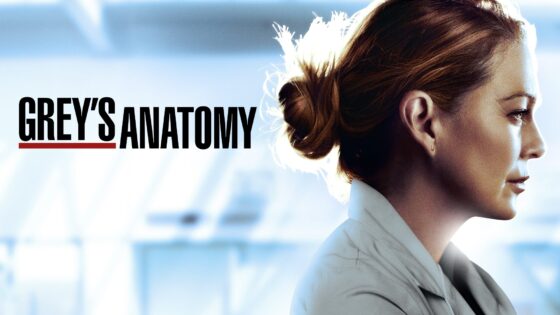 Grey's Anatomy S17 Key Art